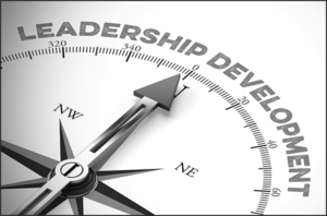 Executive Coaching/Leadership Development by Kavita Murthy, PhD, Austin, Texas
